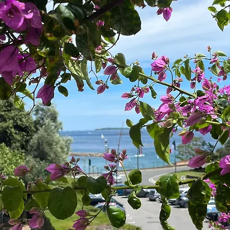 Apartment Magnifique Logement Proche Mer, Commerces, Cannes, Antibes 6P